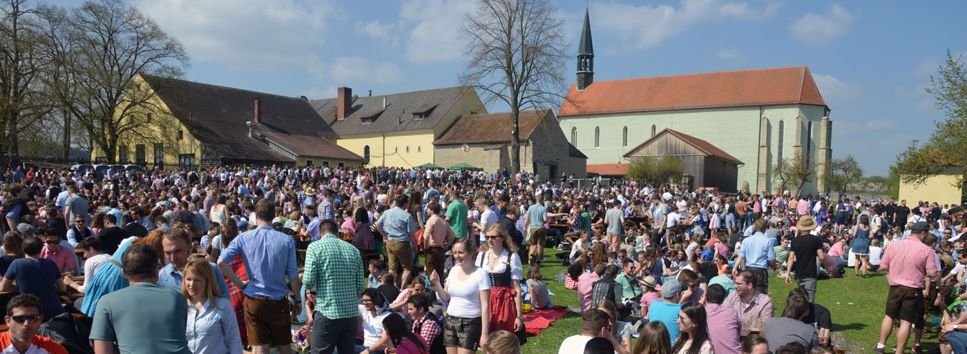 Palmatoranstich Titel